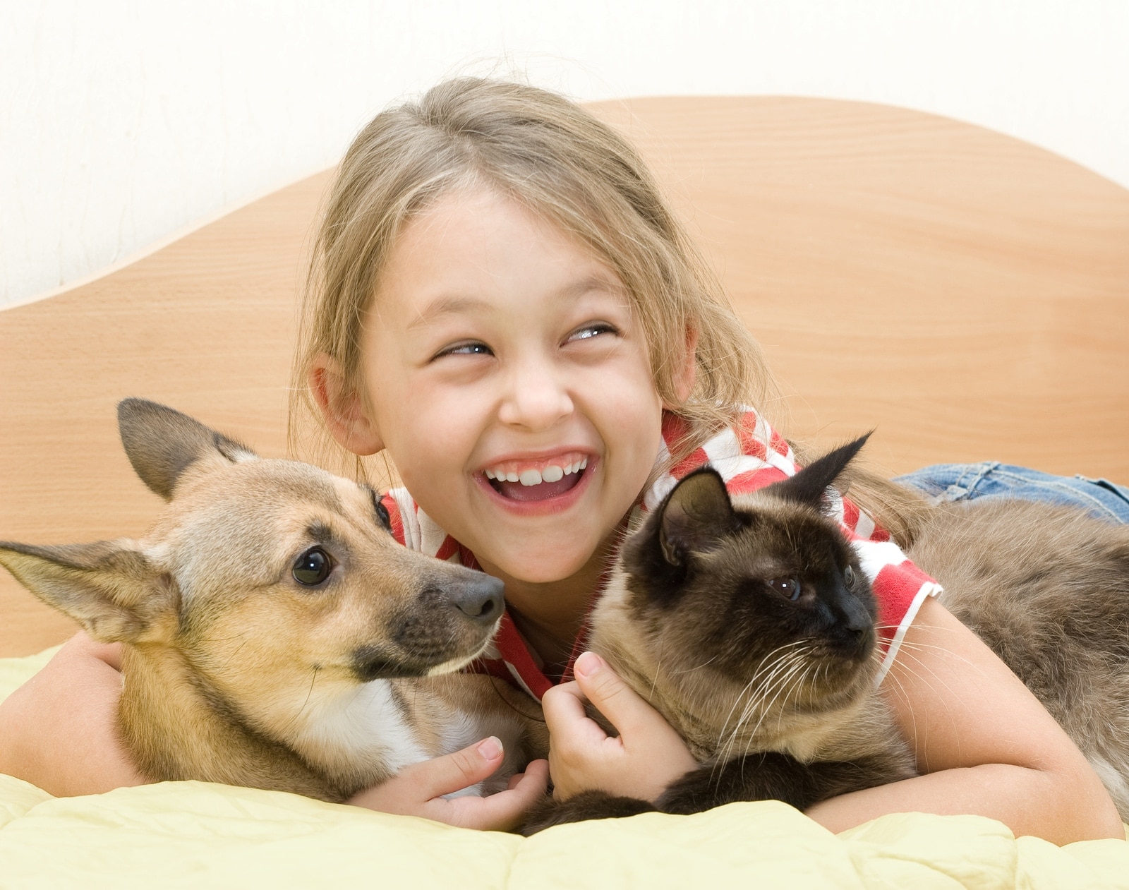 Girl With A Dog And A Cat little girl with a dog and a cat on a bed of yellow color