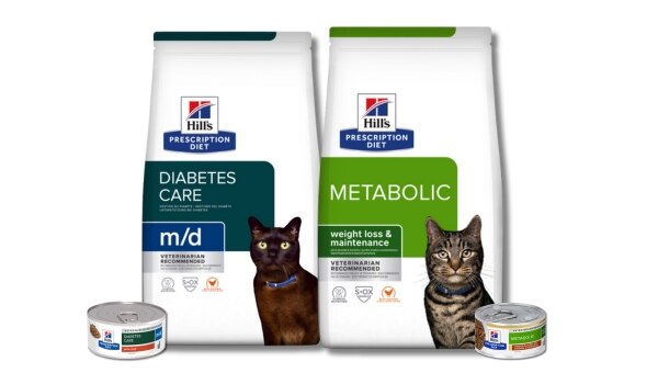 Retseptipõhise dieedi metaboolne ja glükoosisisalduse tugi