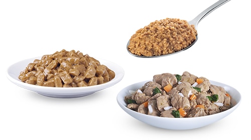 Lemmikloomade märgtoitude näide