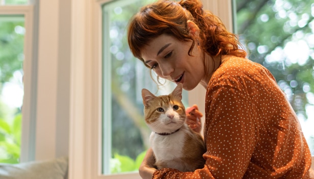 Pruunikas Valge kass istub naise süles