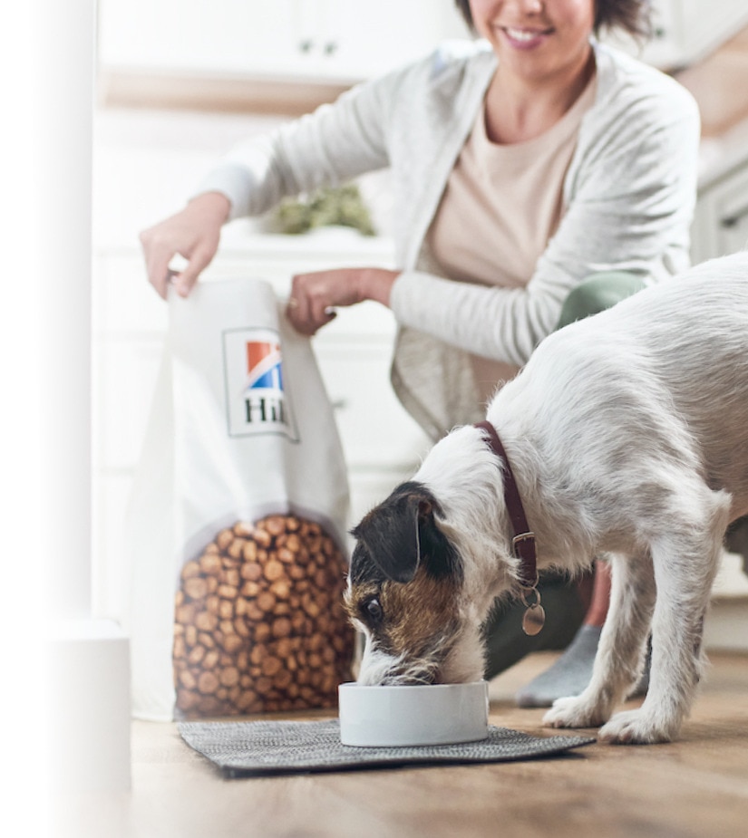 Koer sööb Hill'si toitu