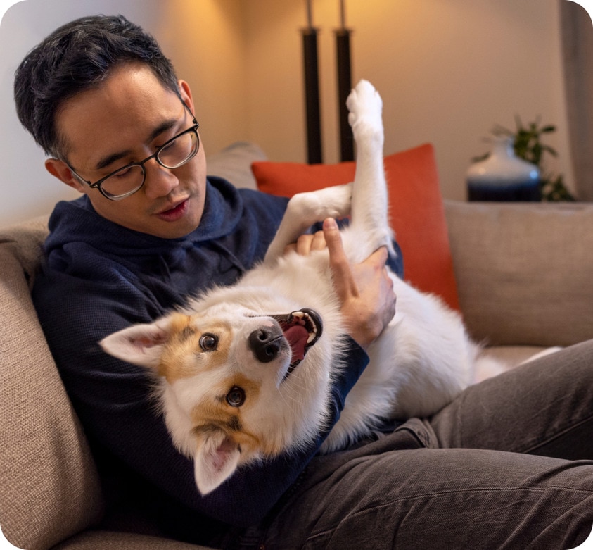 Dog being petted on the sofa by a man with glasses