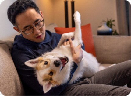 Dog being petted on the sofa by a man with glasses