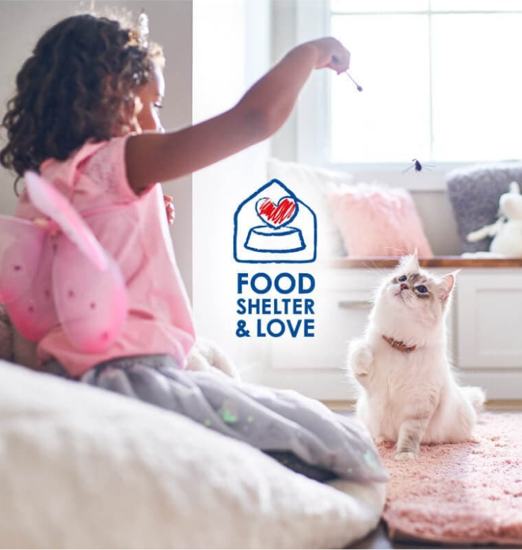 tüdruk mängib oma kassiga